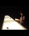 モネの睡蓮 展image01